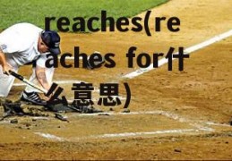 reaches(reaches for什么意思)