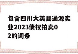 包含四川大英县通源实业2023债权拍卖02的词条