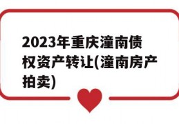 2023年重庆潼南债权资产转让(潼南房产拍卖)