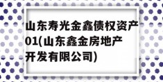 山东寿光金鑫债权资产01(山东鑫金房地产开发有限公司)