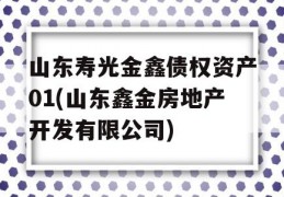 山东寿光金鑫债权资产01(山东鑫金房地产开发有限公司)