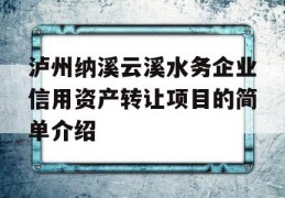 泸州纳溪云溪水务企业信用资产转让项目的简单介绍