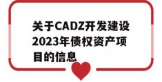 关于CADZ开发建设2023年债权资产项目的信息