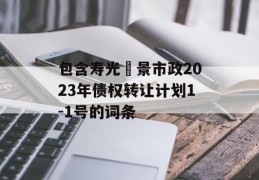 包含寿光昇景市政2023年债权转让计划1-1号的词条