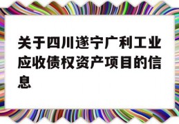 关于四川遂宁广利工业应收债权资产项目的信息