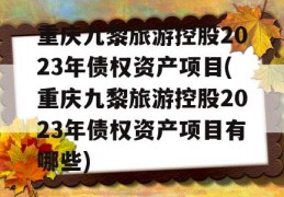 重庆九黎旅游控股2023年债权资产项目(重庆九黎旅游控股2023年债权资产项目有哪些)