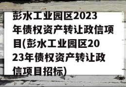 彭水工业园区2023年债权资产转让政信项目(彭水工业园区2023年债权资产转让政信项目招标)