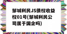 邹城利民JS债权收益权01号(邹城利民公司属于国企吗)