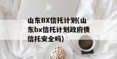 山东BX信托计划(山东bx信托计划政府债信托安全吗)