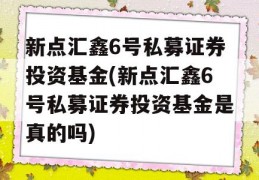 新点汇鑫6号私募证券投资基金(新点汇鑫6号私募证券投资基金是真的吗)