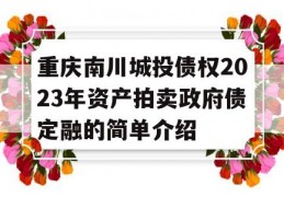 重庆南川城投债权2023年资产拍卖政府债定融的简单介绍