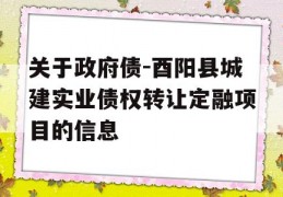 关于政府债-酉阳县城建实业债权转让定融项目的信息