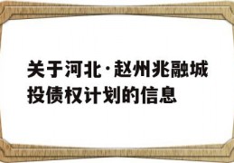 关于河北·赵州兆融城投债权计划的信息