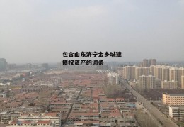 包含山东济宁金乡城建债权资产的词条