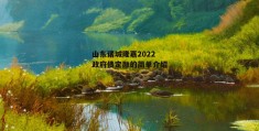 山东诸城隆嘉2022政府债定融的简单介绍