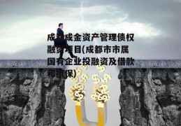 成都成金资产管理债权融资项目(成都市市属国有企业投融资及借款和担保)