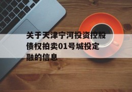 关于天津宁河投资控股债权拍卖01号城投定融的信息