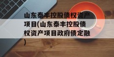 山东泰丰控股债权资产项目(山东泰丰控股债权资产项目政府债定融)