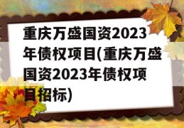 重庆万盛国资2023年债权项目(重庆万盛国资2023年债权项目招标)