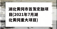 湖北黄冈市首发定融项目(2021年7月湖北黄冈重大项目)