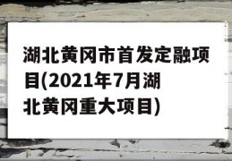 湖北黄冈市首发定融项目(2021年7月湖北黄冈重大项目)