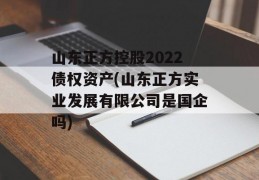 山东正方控股2022债权资产(山东正方实业发展有限公司是国企吗)