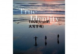 TRUE(true的大写字母)