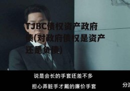 TJBC债权资产政府债(对政府债权是资产还是负债)