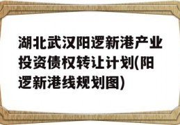 湖北武汉阳逻新港产业投资债权转让计划(阳逻新港线规划图)