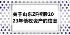 关于山东ZF控股2023年债权资产的信息