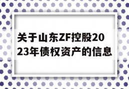 关于山东ZF控股2023年债权资产的信息