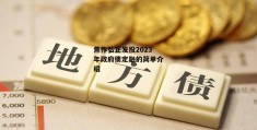 焦作弘正发投2023年政府债定融的简单介绍