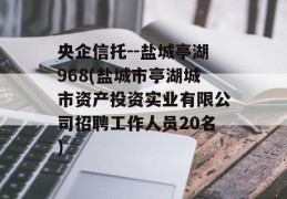 央企信托--盐城亭湖968(盐城市亭湖城市资产投资实业有限公司招聘工作人员20名)