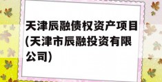 天津辰融债权资产项目(天津市辰融投资有限公司)