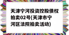 天津宁河投资控股债权拍卖02号(天津市宁河区法院拍卖活动)