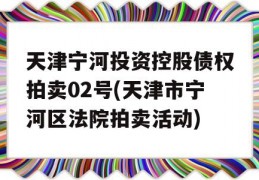 天津宁河投资控股债权拍卖02号(天津市宁河区法院拍卖活动)