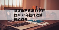 包含山东青岛SY财产权2023年信托收益权的词条