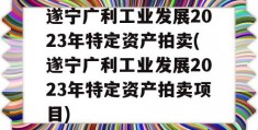 遂宁广利工业发展2023年特定资产拍卖(遂宁广利工业发展2023年特定资产拍卖项目)