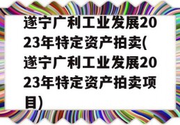 遂宁广利工业发展2023年特定资产拍卖(遂宁广利工业发展2023年特定资产拍卖项目)