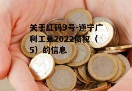 关于红码9号-遂宁广利工业2022债权（5）的信息