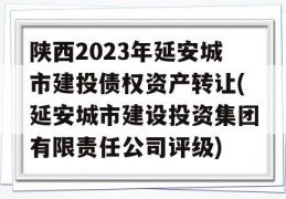 陕西2023年延安城市建投债权资产转让(延安城市建设投资集团有限责任公司评级)