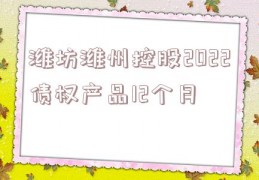 潍坊潍州控股2022债权产品12个月