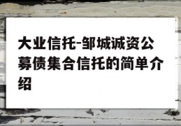 大业信托-邹城诚资公募债集合信托的简单介绍