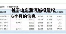 关于山东潍河城投债权6个月的信息