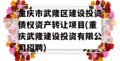 重庆市武隆区建设投资债权资产转让项目(重庆武隆建设投资有限公司招聘)