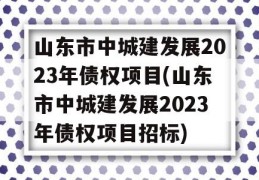 山东市中城建发展2023年债权项目(山东市中城建发展2023年债权项目招标)