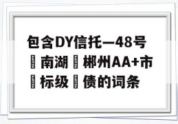 包含DY信托—48号‮南湖‬郴州AA+市‮标级‬债的词条