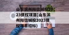 山东滨州阳信城投2023债权项目(山东滨州阳信城投2023债权项目招标)