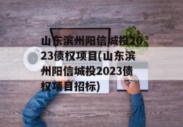 山东滨州阳信城投2023债权项目(山东滨州阳信城投2023债权项目招标)