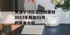 天津宁河投资控股债权2023年拍卖01号的简单介绍